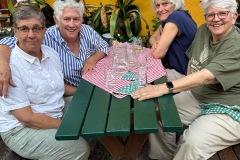 Vienna-group-supper-4